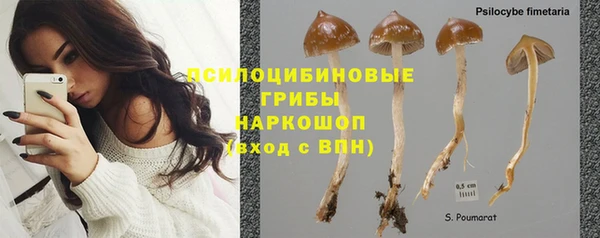 прущие крисы Арсеньев