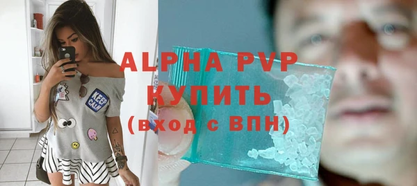 стафф Алексин