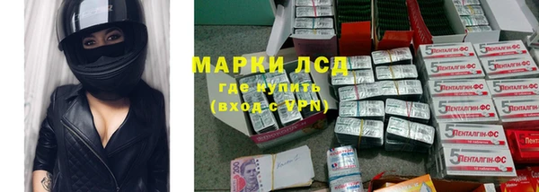 стафф Алексин